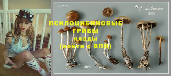 бутират Медногорск