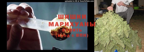 прущие грибы Медвежьегорск