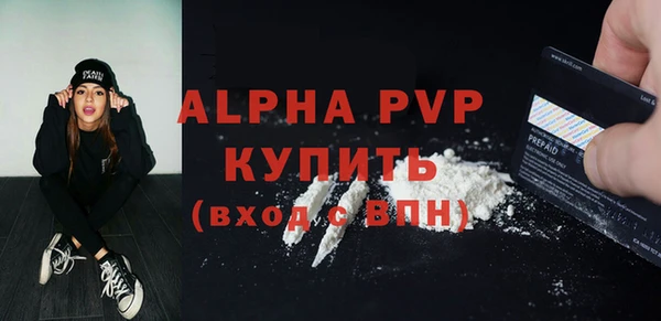 прущие грибы Медвежьегорск