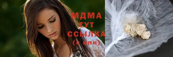 прущие грибы Медвежьегорск