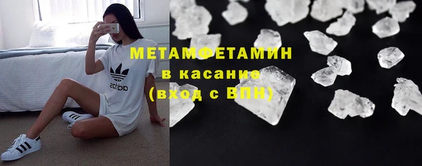 прущие грибы Медвежьегорск