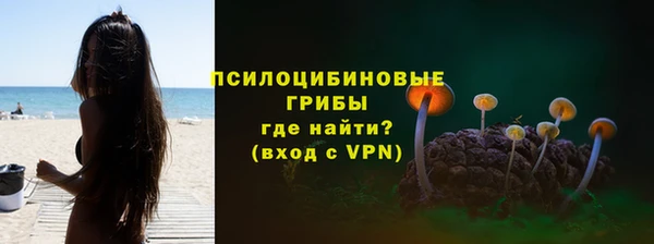 прущие грибы Медвежьегорск