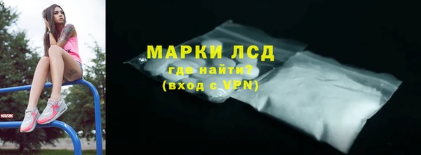 прущие грибы Медвежьегорск