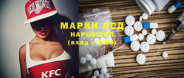 прущие грибы Медвежьегорск