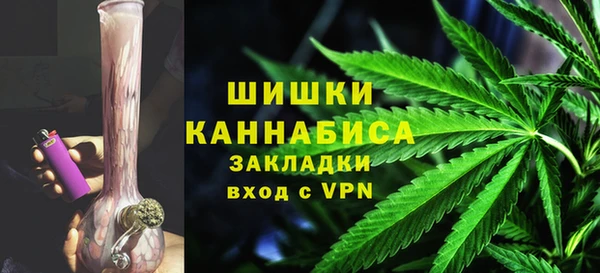 прущие грибы Медвежьегорск