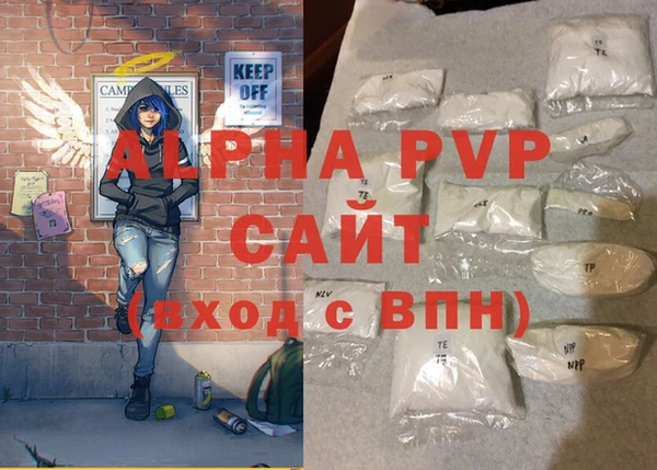прущие грибы Медвежьегорск